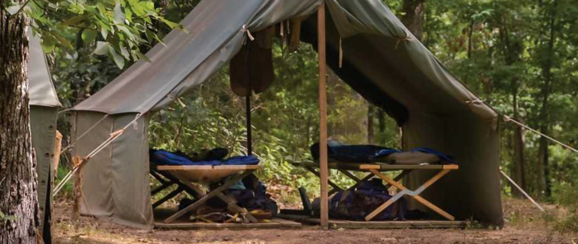 Zdjęcie przedstawia namiot w lesie
