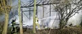 Pożar budynku stodoły w miejscowości Skalbmierz