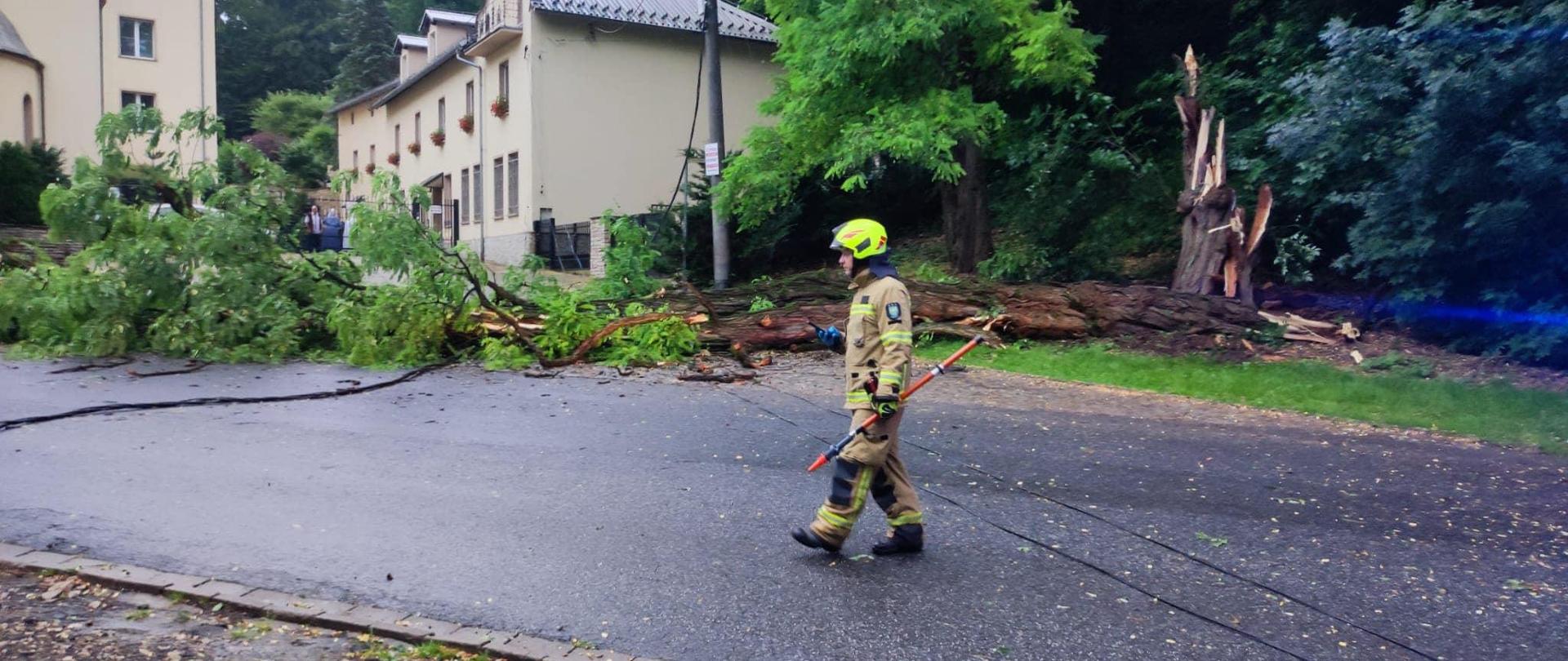 Na zdjęciu znajduje się strażak w ubraniu specjalnym, w tle powalone drzewo oraz budynki