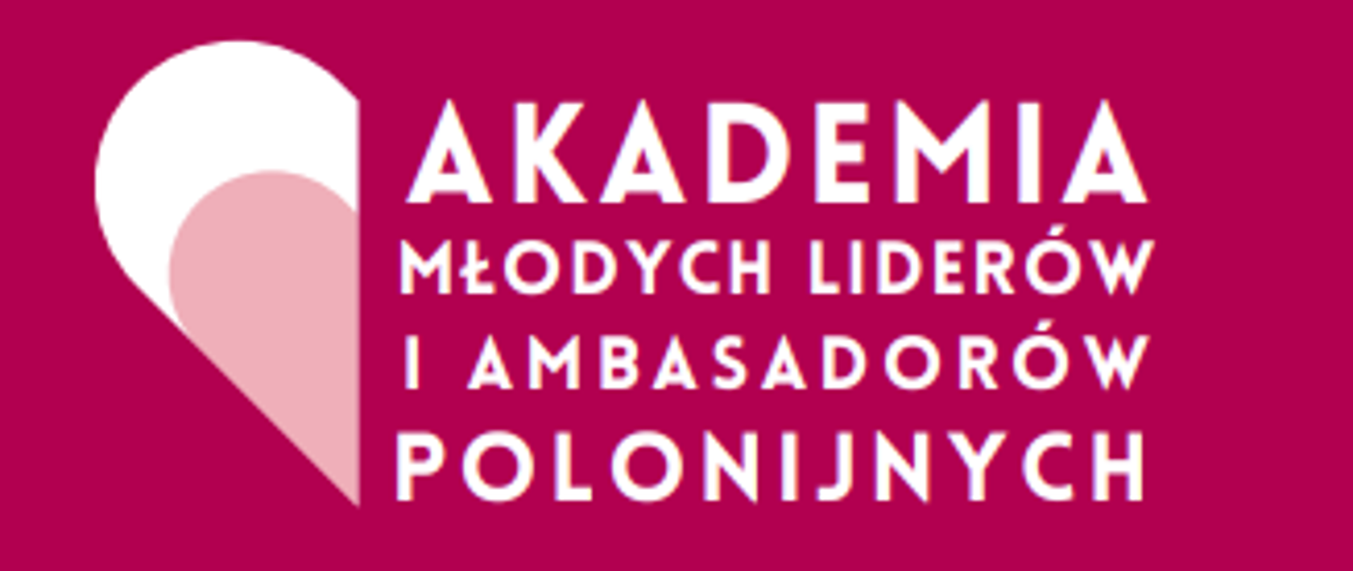 Akademia_Młodych_Liderów