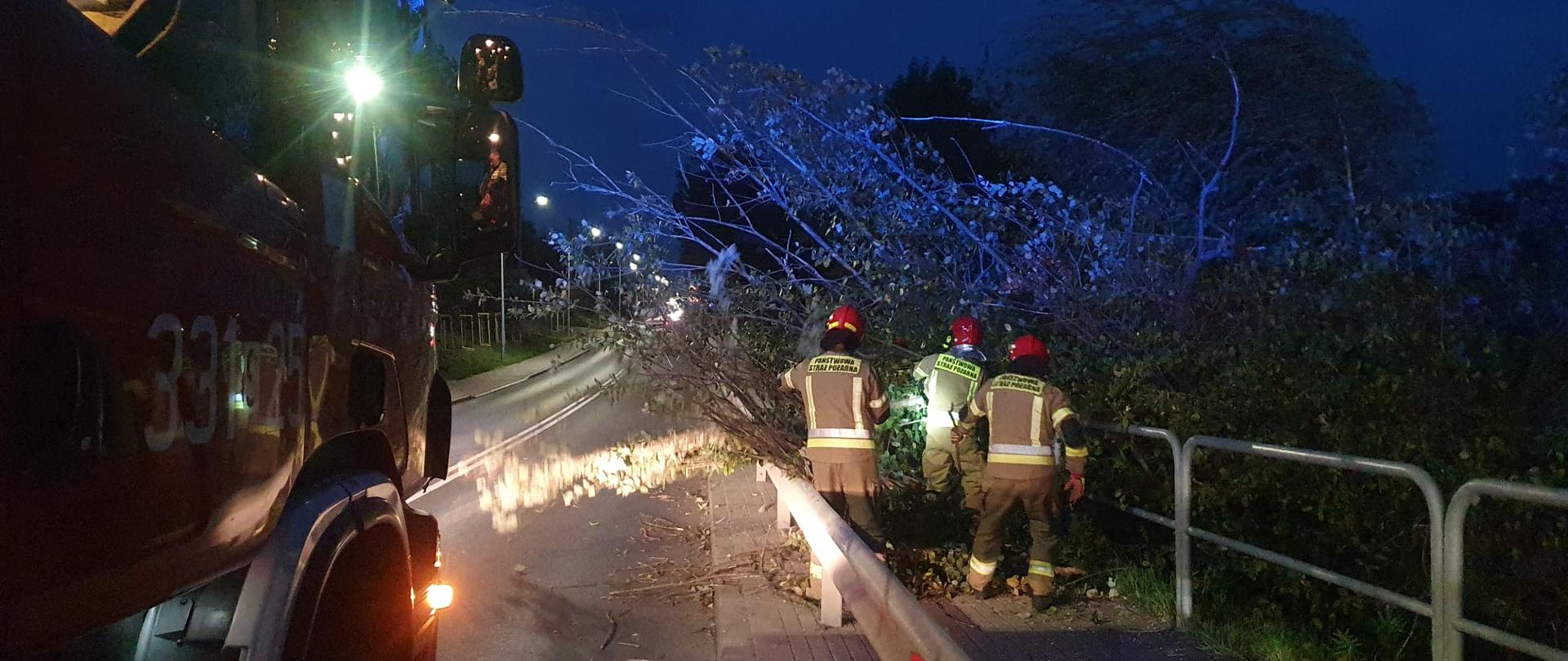 Na ulicy wieczorem stoi samochód strażacki, po prawej stronie, na chodniku trzech strażaków w ubraniach specjalnych i hełmach usuwa przewrócone na chodnik drzewo.