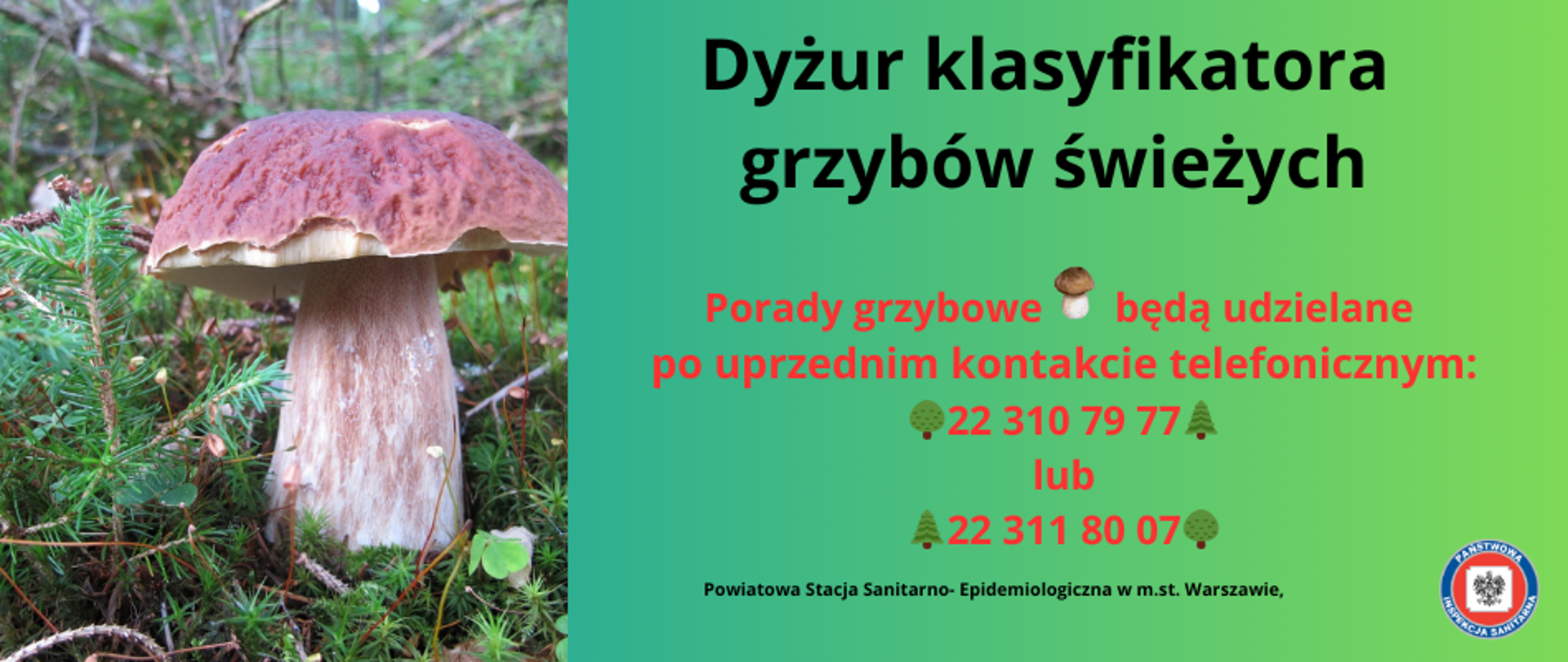 Dyżur_klasyfikatora_grzybów_świeżych. Porady grzybowe będą udzielane po uprzednim kontakcie telefonicznym:
🌳22 310 79 77🌲 lub 🌲22 311 80 07🌳