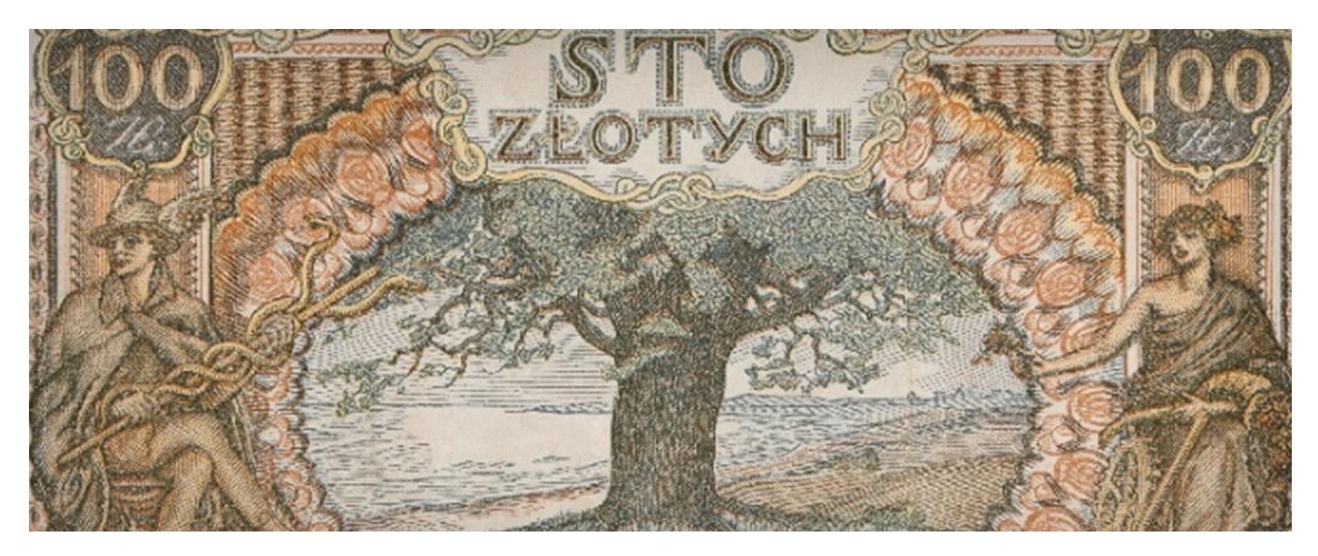 archiwalny banknot 100 złotowy z ilustracją drzewa
