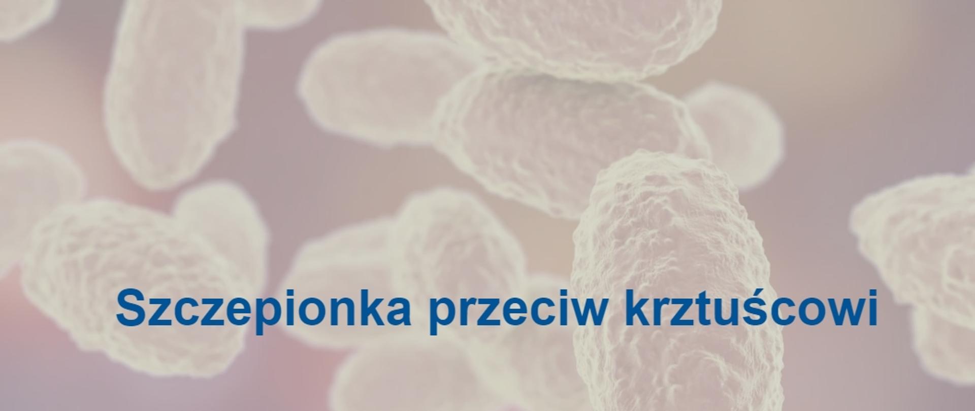 Szczepionka przeciw krztuścowi