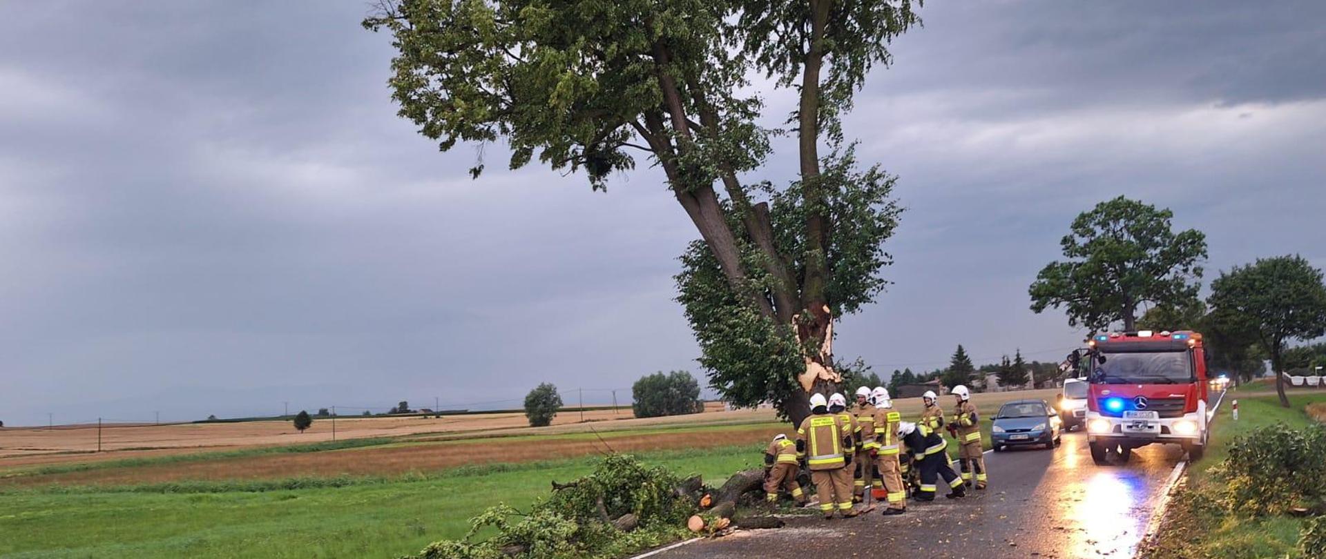 Strażacy OSP usuwają połamane przez silny wiatr drzewa.