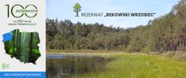 Rezerwat „Rekowski Wrzosiec”. Zbiornik wodny otoczony lasem. Brzegi zbiornika porastają wysokie trawy.