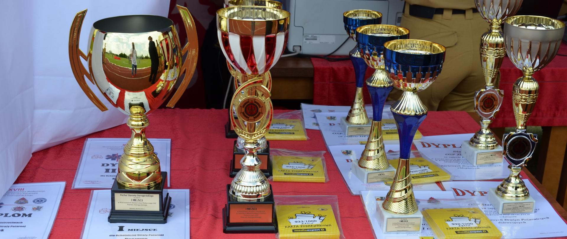 Puchary dla zwycięskich drużyn MDP