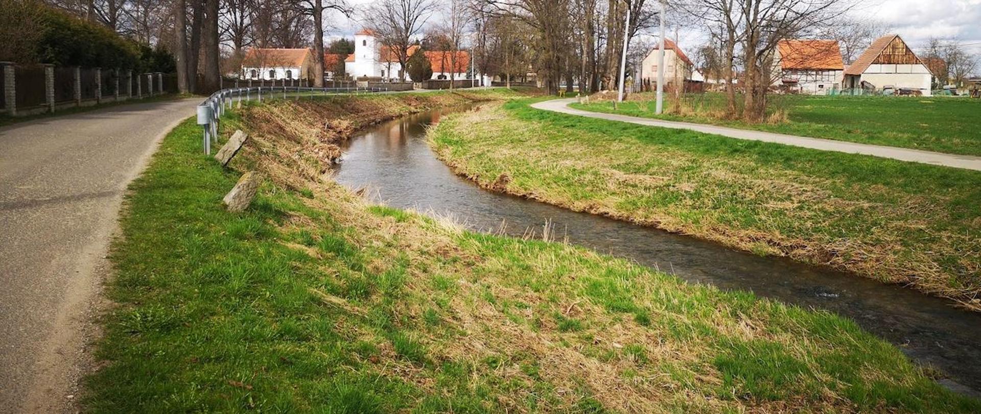 Rzeka Nysa Szalona w Gniewkowie na Dolnym Śląsku po akcji sprzątania przeprowadzonej 16 marca 2024 roku.