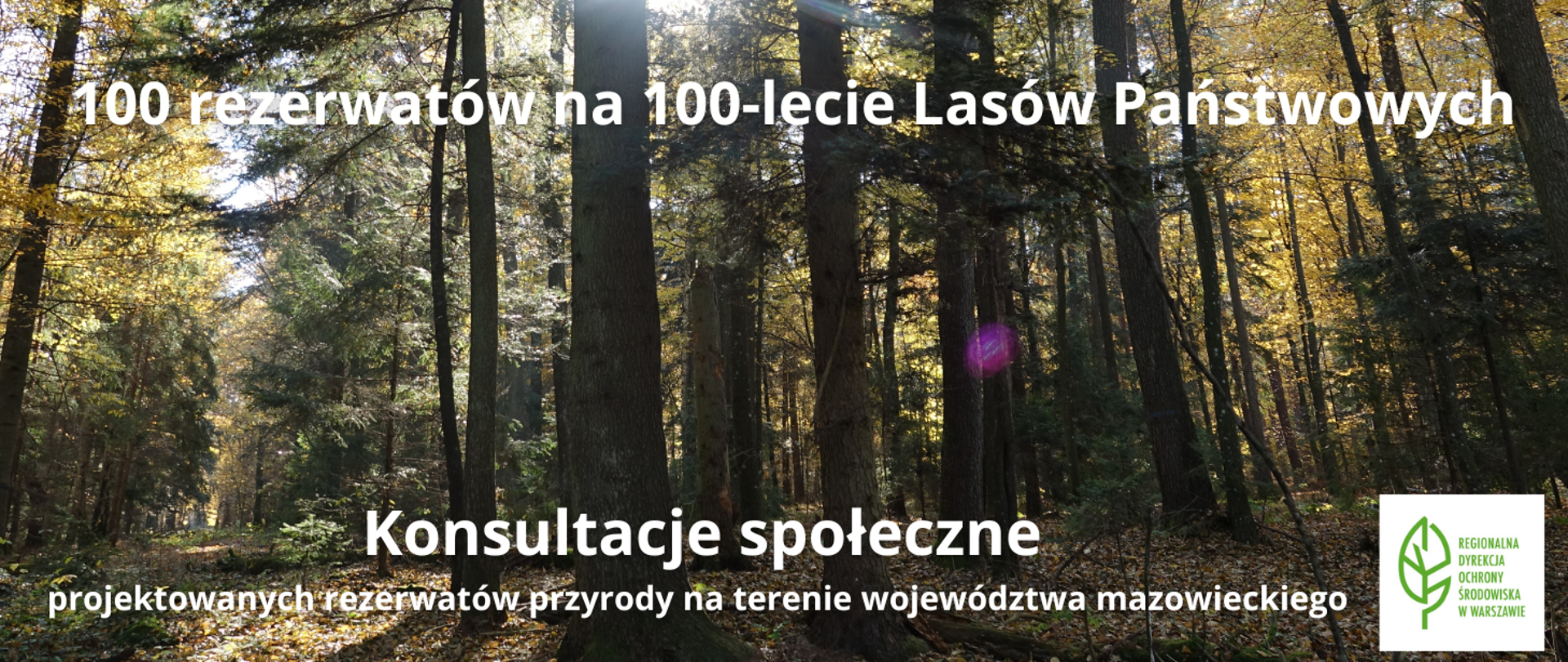 Drzewa, las, słońce, logotyp i informacja o konsultacjach społecznych w sprawie rezerwatów przyrody 