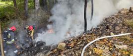 Działania gaśnicze przy pożarze w miejscowości Sędziszowice – ratownicy prowadzący działania związane z przekopywaniem pogorzeliska.