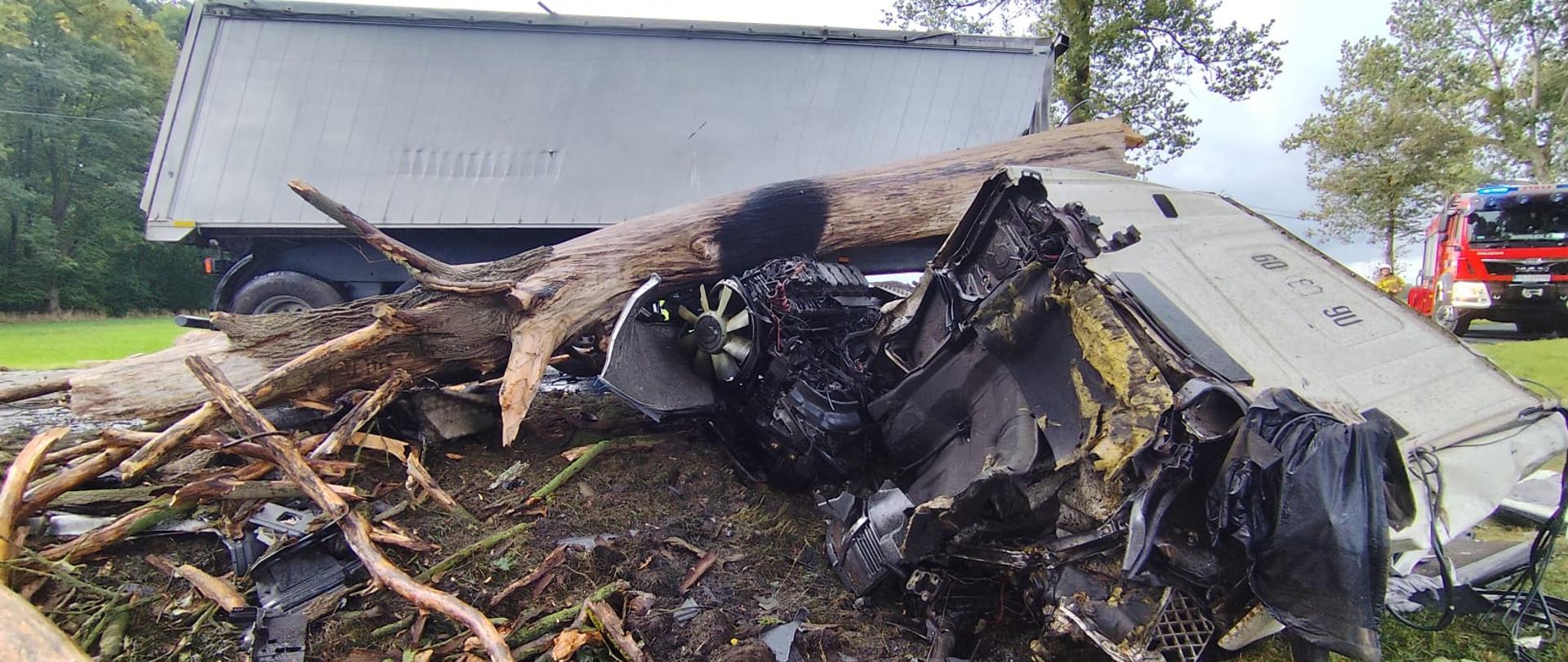 Kabina samochodu w rowie, na niej leży drzewo, za nią naczepa