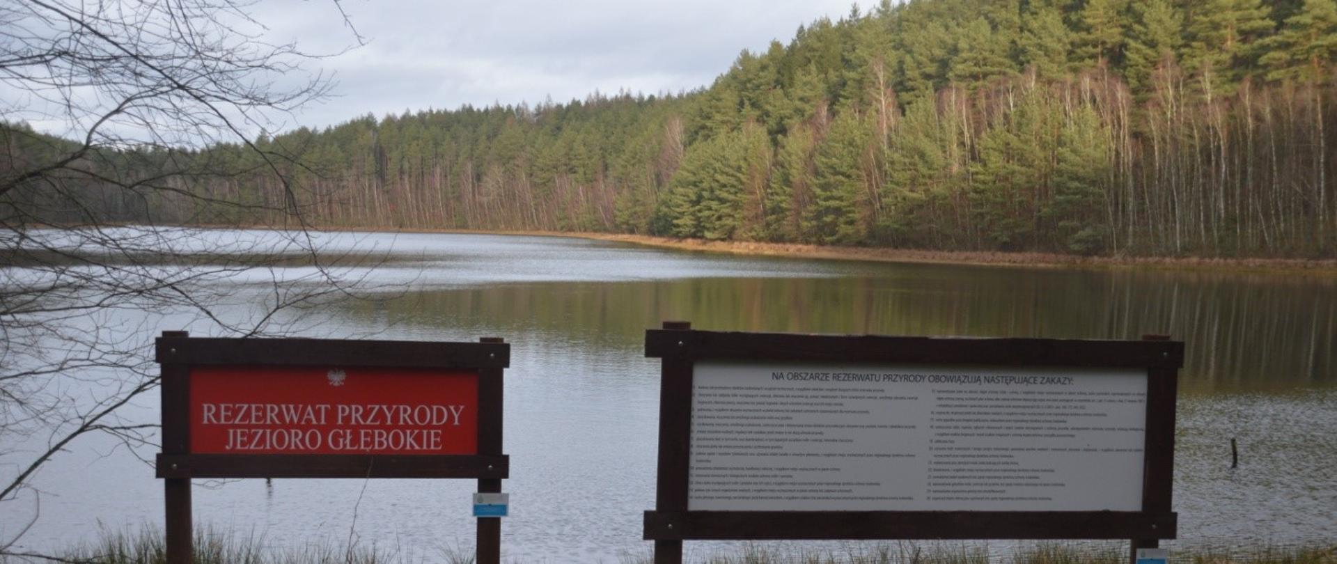 Prace porządkowe, czyszczenie z odpadów i zaśmieceń 