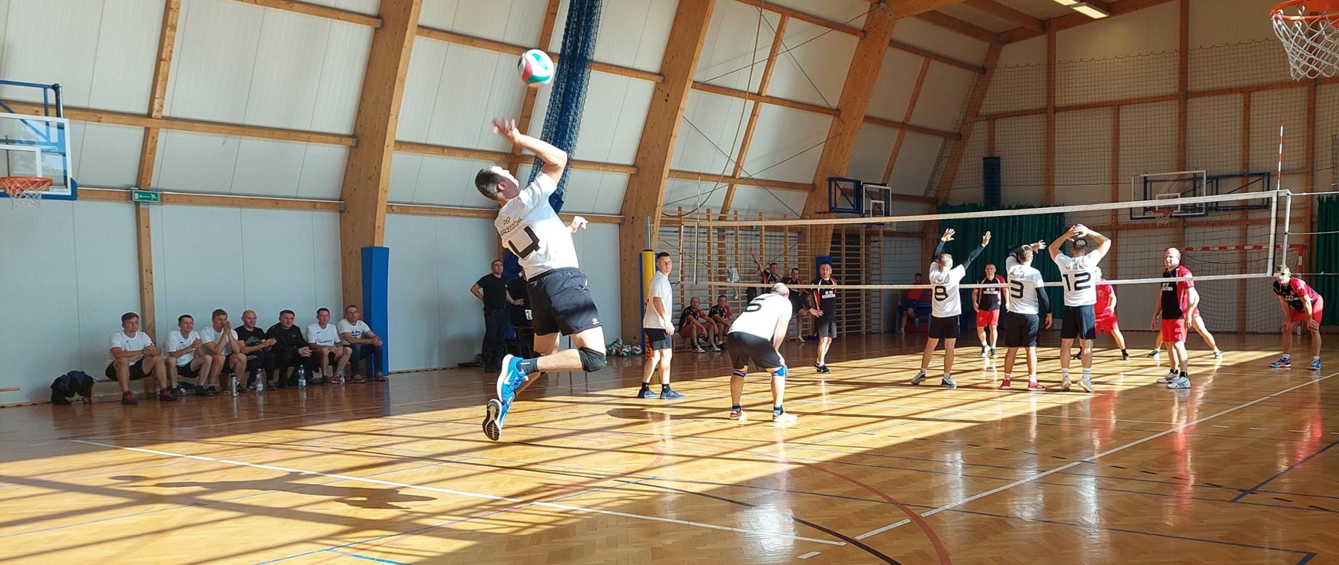 Kolorowa fotografia wykonana w hali sportowej. Na parkiecie widoczne dwie drużyny grające w piłkę siatkową w kolorowych strojach sportowych. Na pierwszym planie zawodnik w trakcie serwowania piłki. Obok siatki stoi sędzia sportowy a pod ścianami na ławkach siedzą zawodnicy i kibice.