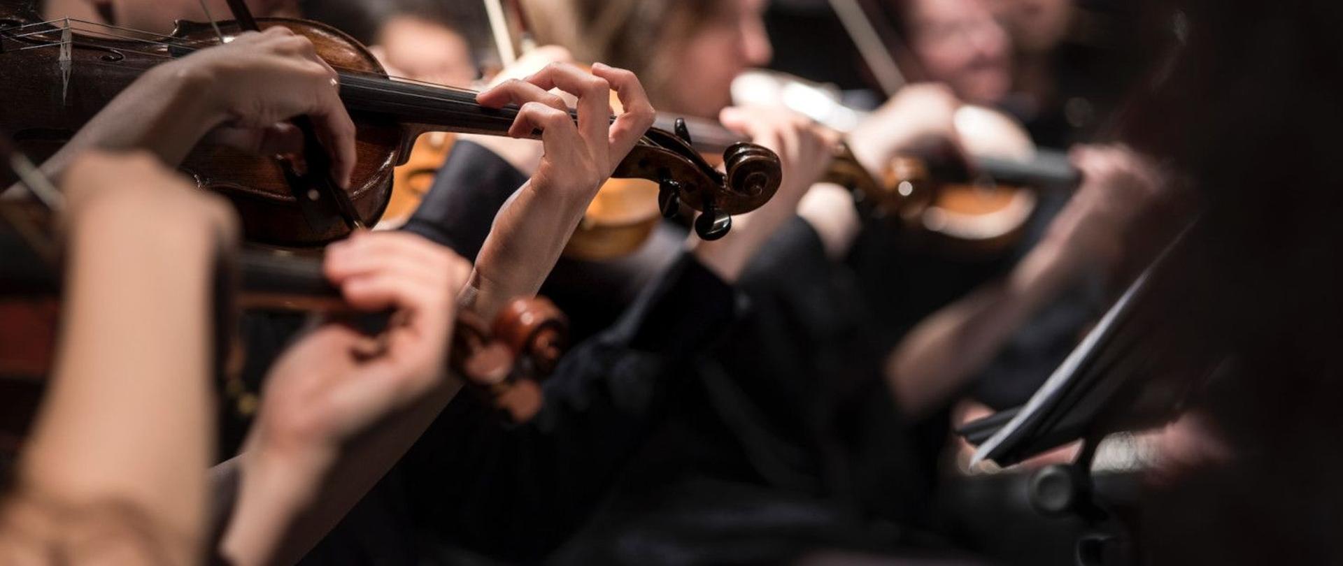 Zdjęcie przedstawia muzyków orkiestry smyczkowej. Wykadrowane jest w ten sposób, ze widać tylko ręce i skrzypce.