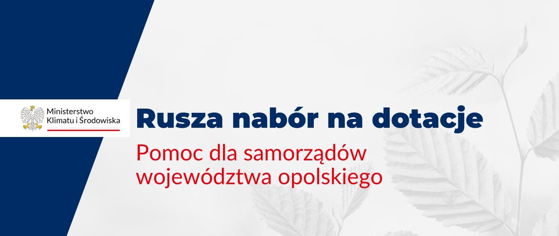 ruszył nabór na dotacje dla samorządów województwa opolskiego