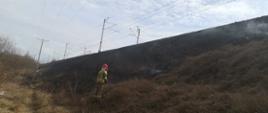 Pożar traw na nasypie kolejowym