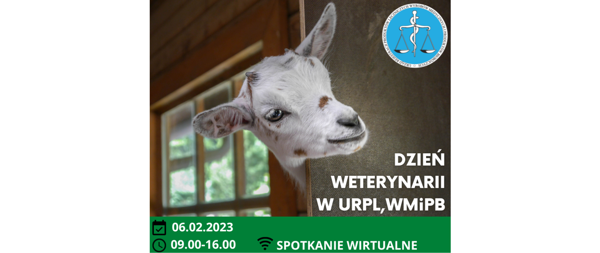 Zdjęcie z kozą, Dzień Weterynarii w URPL,WMiPB