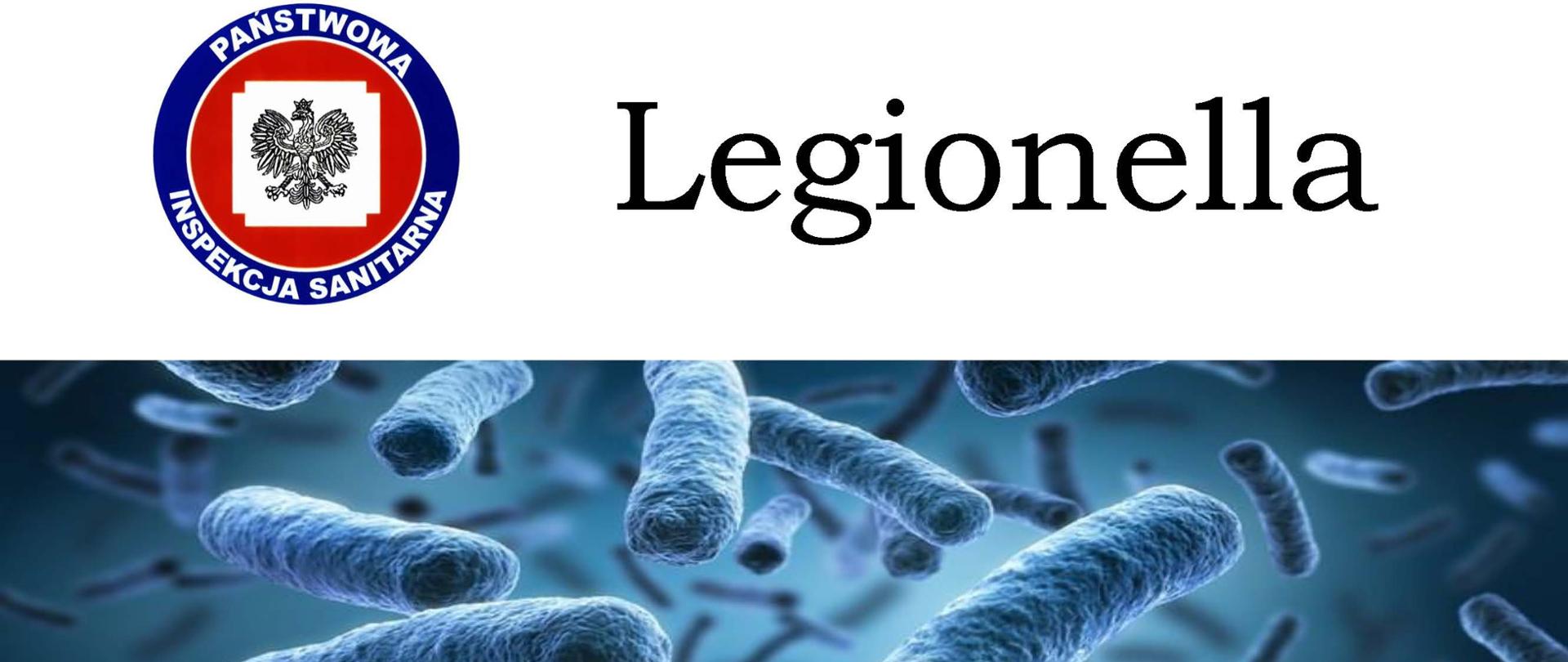 Bakteria legionella