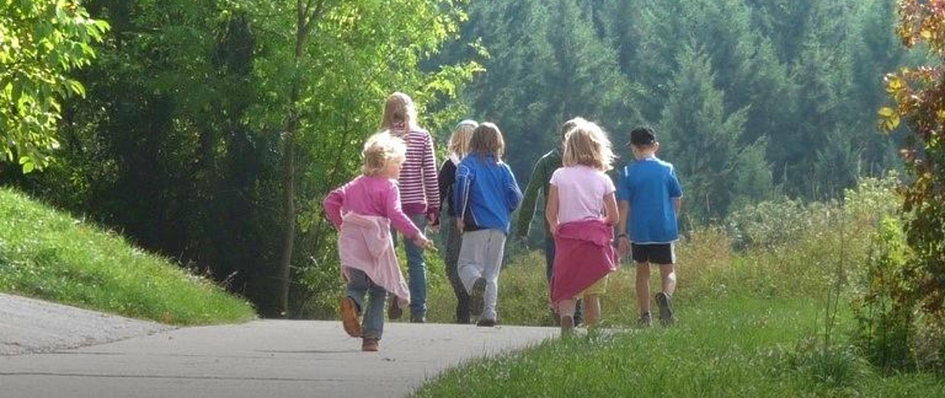 grupa dzieci idzie leśna drogą