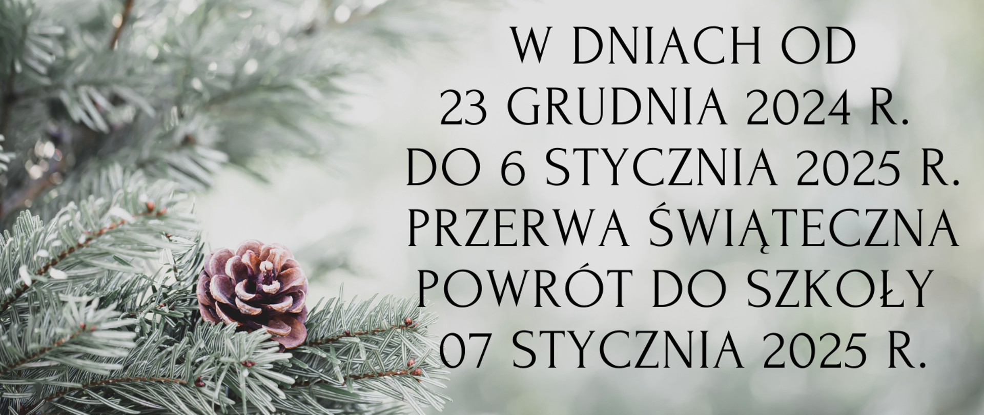 Grafika choinki po lewej stronie z tekstem po prawej stronie "W DNIACH OD23 GRUDNIA 2024 R. DO 6 STYCZNIA 2025 R.PRZERWA ŚWIĄTECZNAPOWRÓT DO SZKOŁY 07 STYCZNIA 2025 R."