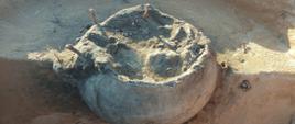 DK73 obwodnica Morawicy - badania archeologiczne - wypełniona ziemią duża ceramiczna urna ze spękaniami stojąca na podłożu gruntowym 