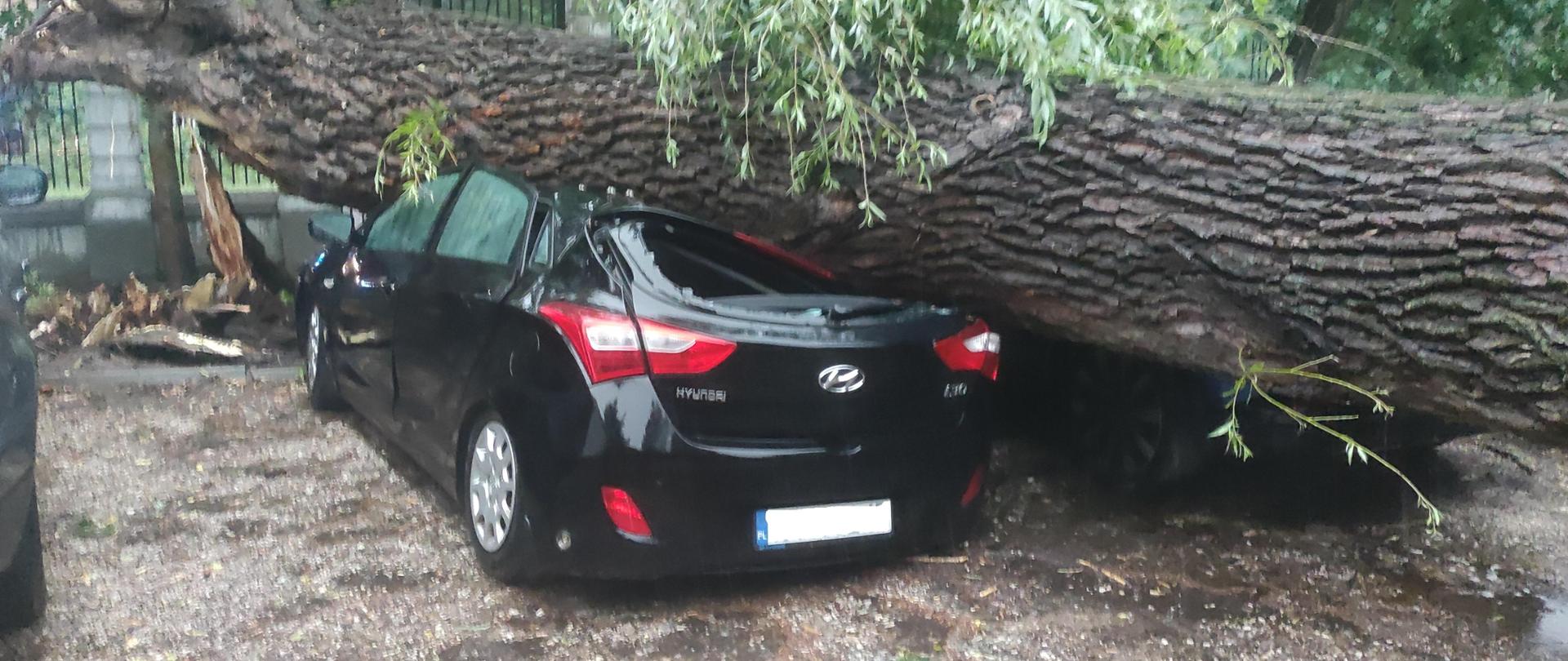  Na zdjęciu widoczna jest grube drzewo, które przygniotło czarny samochód osobowy stojący na parkingu. Na drugim planie widać ogrodzenie, na którym też leży drzewo.
