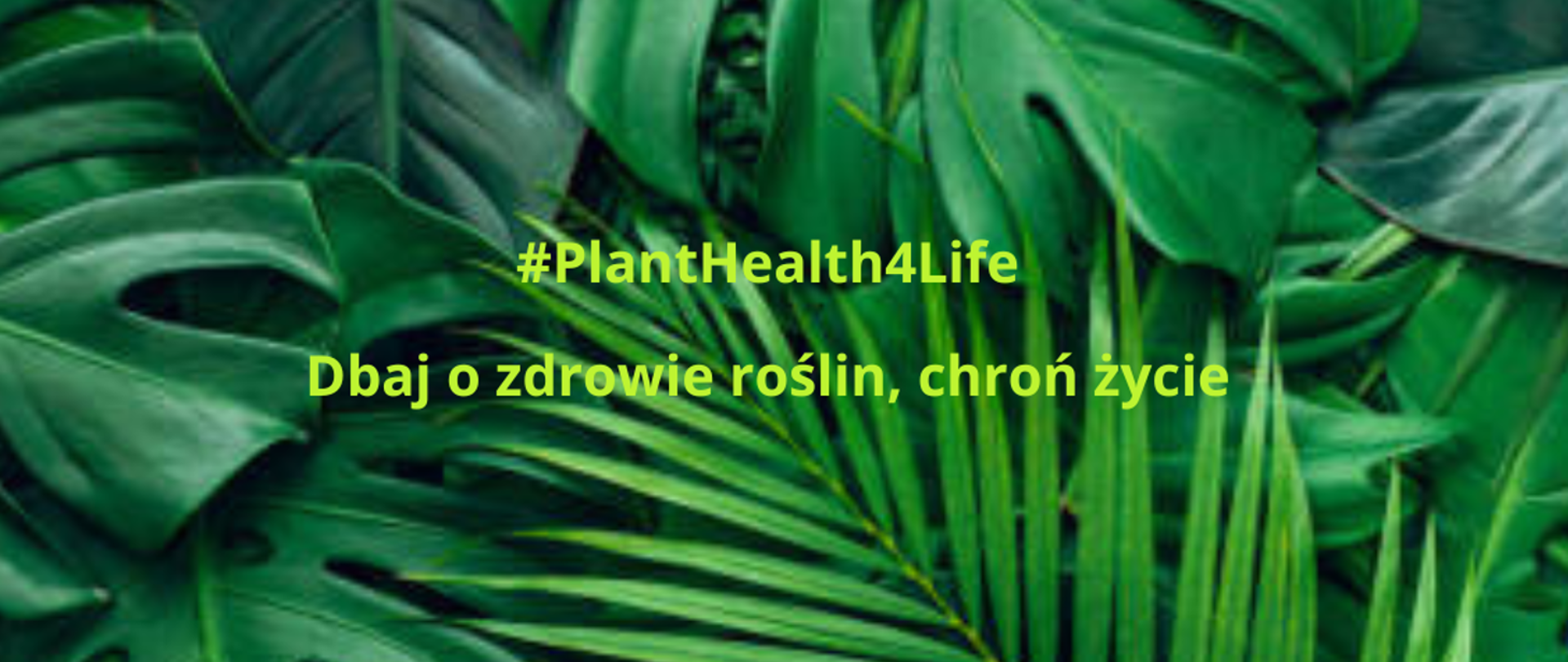 Kampania społeczna #PlantHealth4Life