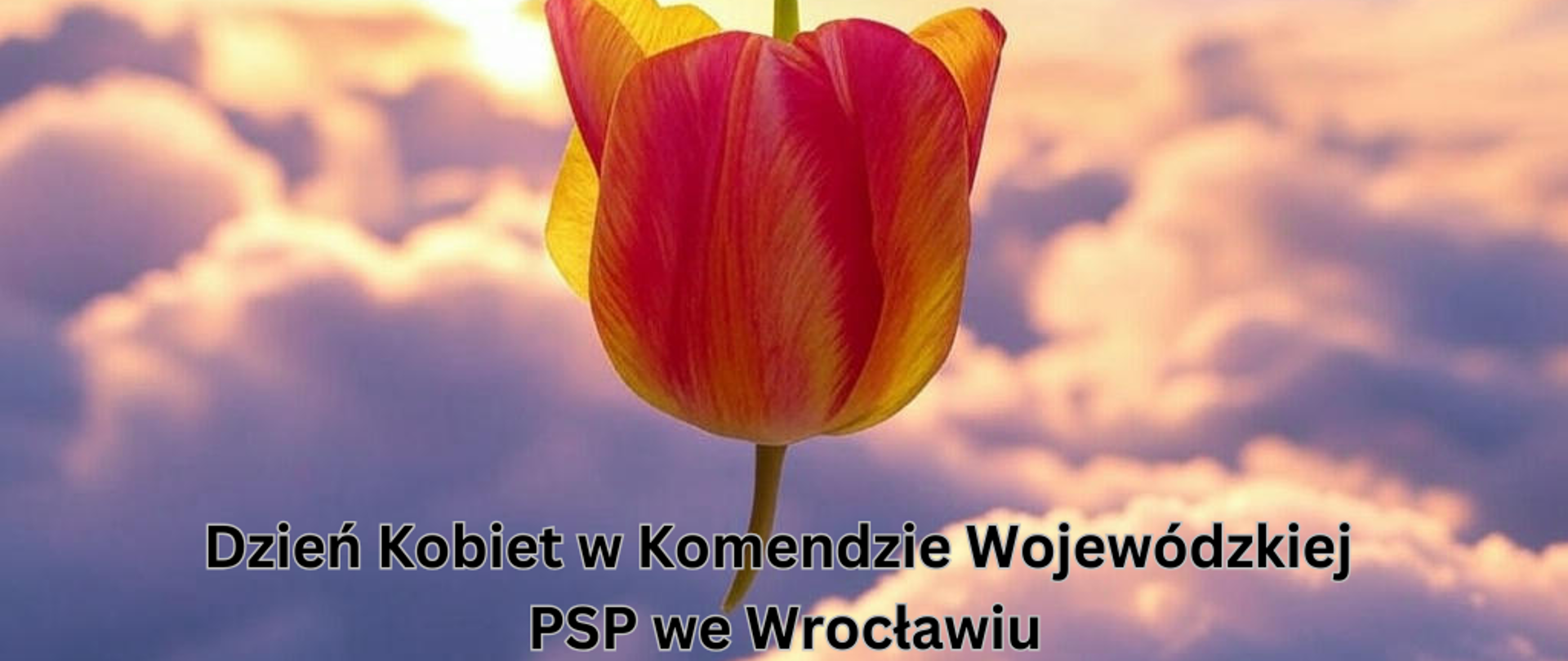 Dzień Kobiet w Komendzie Wojewódzkiej PSP we Wrocławiu