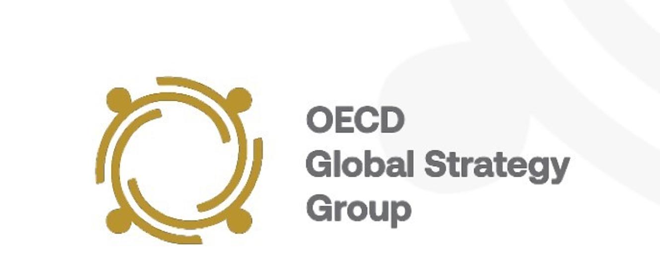 Posiedzenie Grupy Strategii Globalnej Gsg Polska W Oecd Portal Gov Pl