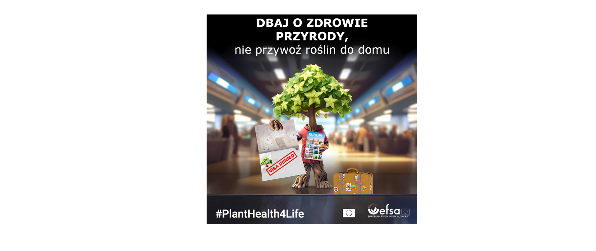  To jest plakat z przesłaniem dotyczącym zdrowia roślin i ważności nieprzynoszenia roślin do domu w celu ochrony środowiska. Na plakacie widnieje antropomorficzne drzewo stojące na lotnisku, trzymające walizkę z naklejkami z różnych krajów oraz paszport z pieczątką “VISA DENIED”. Drzewo ma zaniepokojoną minę. Powyżej sceny znajduje się napis po polsku: “DBAJ O ZDROWIE PRZYRODY, nie przywoź roślin do domu.” Na dole plakatu widnieje hashtag “#PlantHealth4Life” oraz logo EFSA (Europejski Urząd ds. Bezpieczeństwa Żywności). To ciekawe, że plakat wykorzystuje personifikację, aby przekazać swoje przesłanie na temat zdrowia roślin i kontroli granicznej w odniesieniu do produktów rolnych w przystępny sposób.