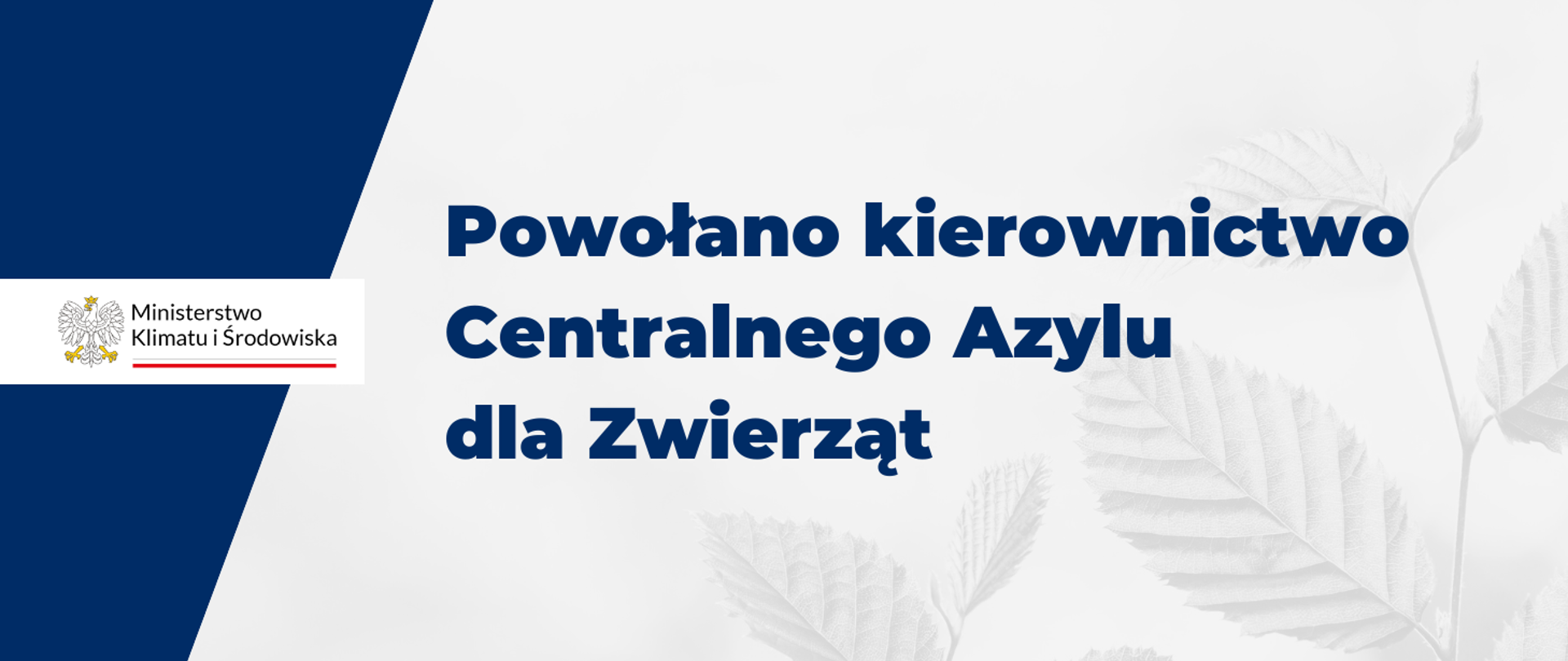 Powołano kierownictwo Centralnego Azylu dla Zwierząt 