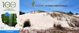 Rezerwat Wydma Lubiatowska