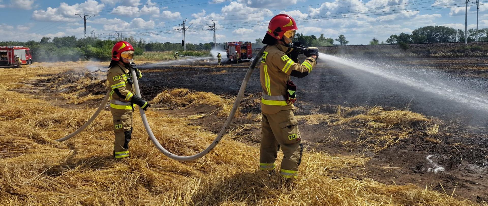 strażacy gaszą pożar słomy po kombajnie