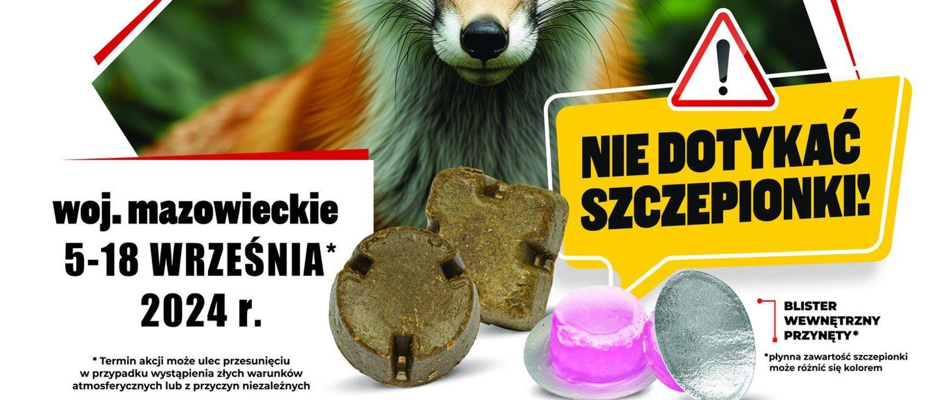 szczepienia lisów