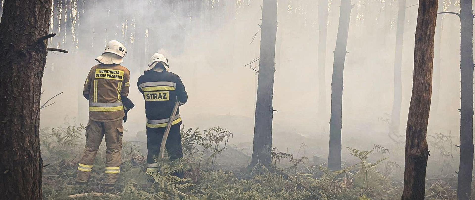 Strażacy gaszą pożar w lesie. Duże zadymienie.
