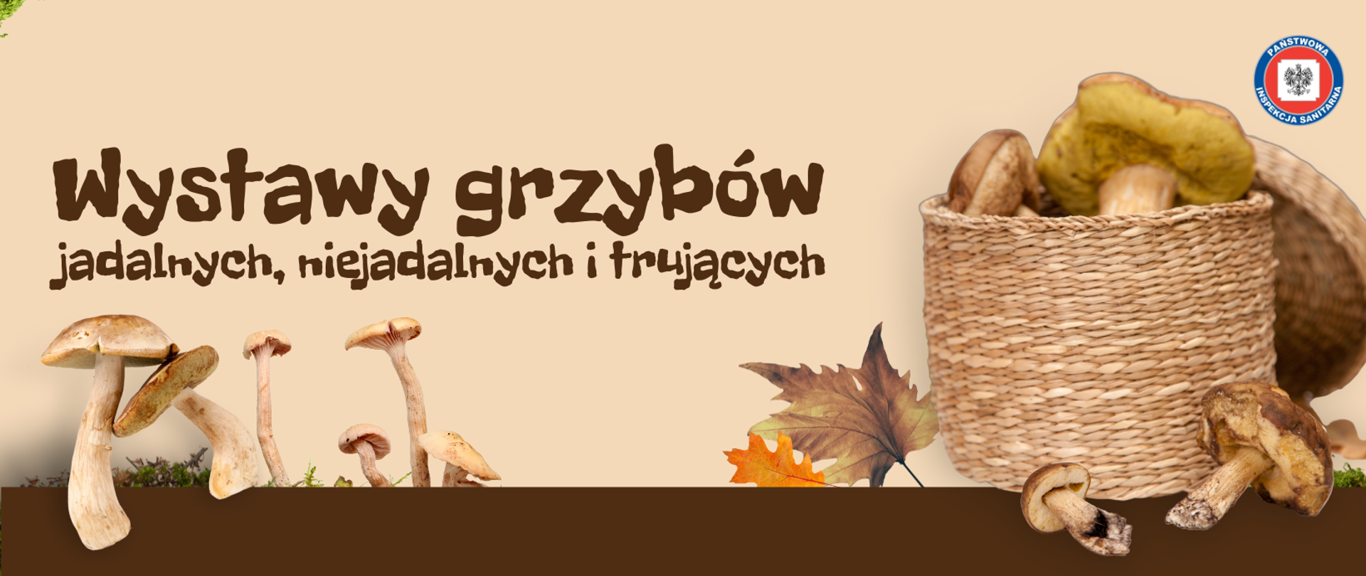 wystawa grzybów - zaproszenie