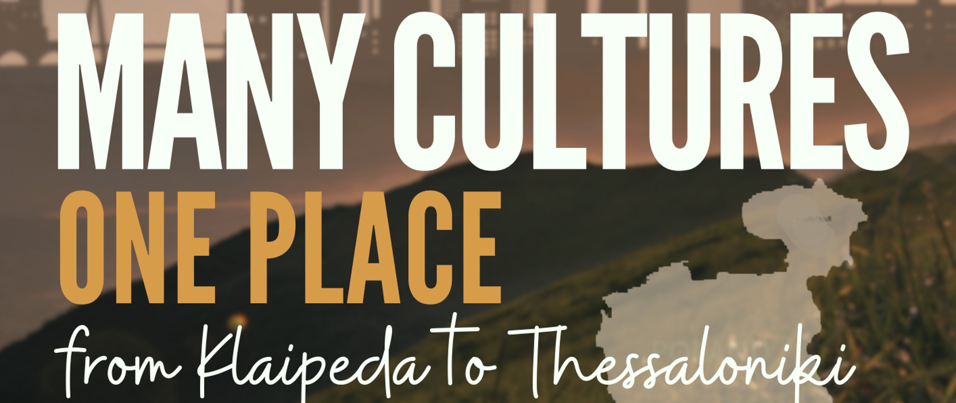 Many Cultures, One Place
