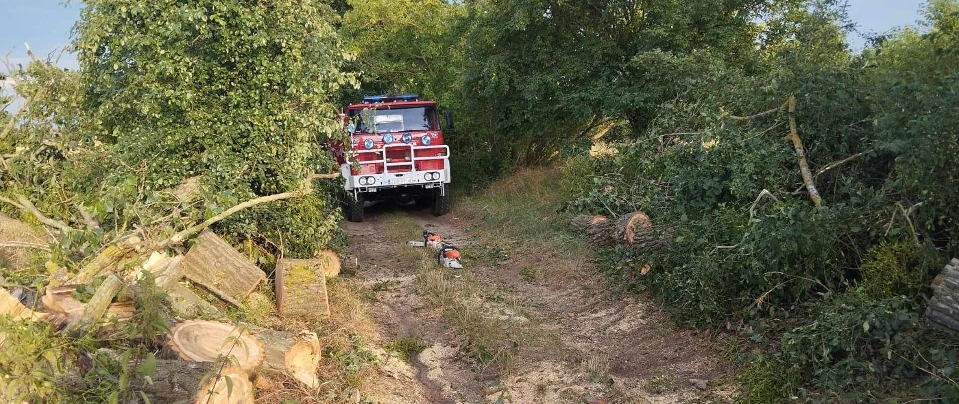 Zdjęcie przedstawia pojazd pożarniczy w trakcie udrażniania drogi przez powalone drzewo.