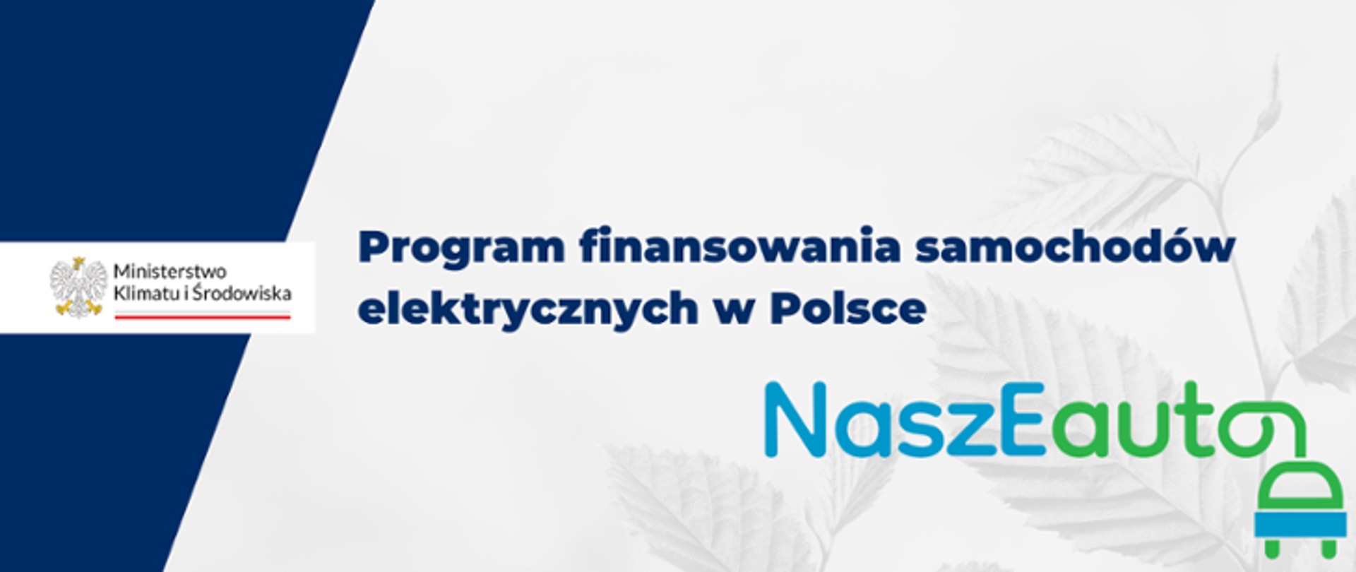 program „NaszEauto”