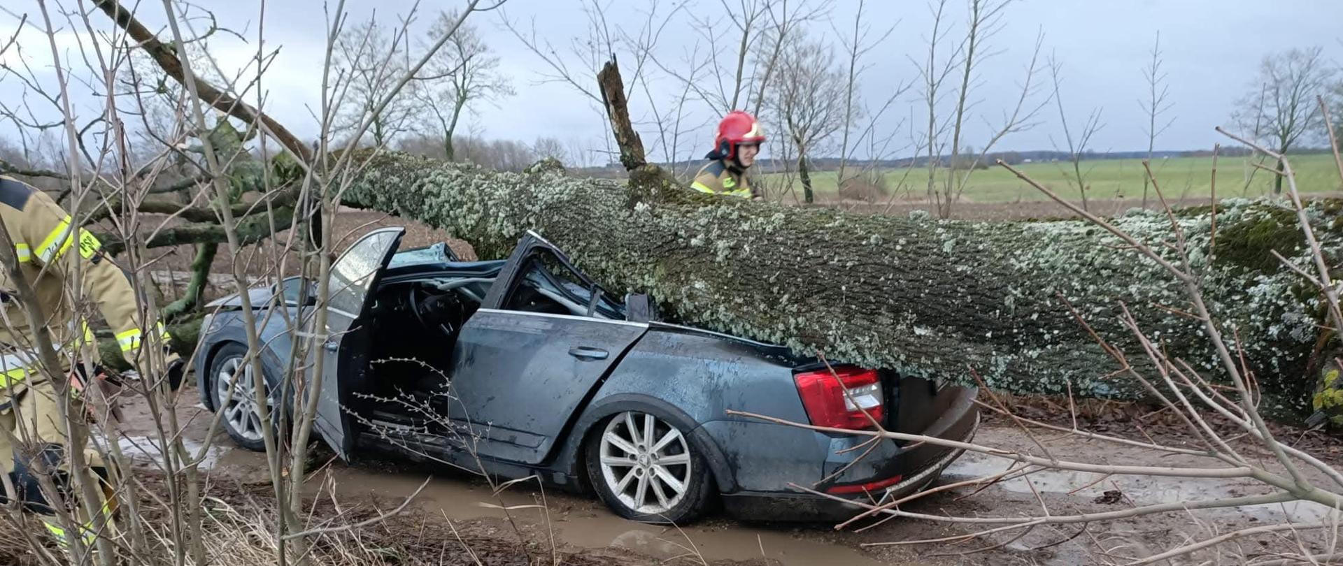 Drzewo w wyniku silnego wiatru przewróciło się na samochód osobowy. Samochód ma wgnieciony dach i bagażnik, popękane szyby i uszkodzoną maskę. Obok pojazdu strażak w ubraniu specjalnym i czerwonym hełmie strażackim na głowie.