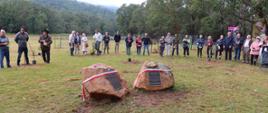 50 for 50 – planting 50 trees in the Kosciuszko National Park to mark 50 years of Polish-Australian diplomatic relations