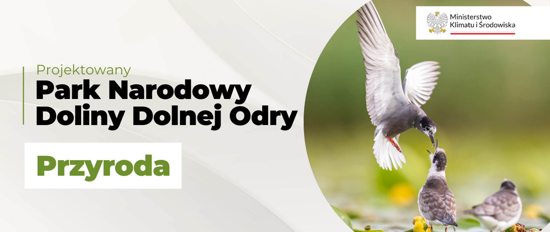 Park Narodowy Doliny Dolnej Odry