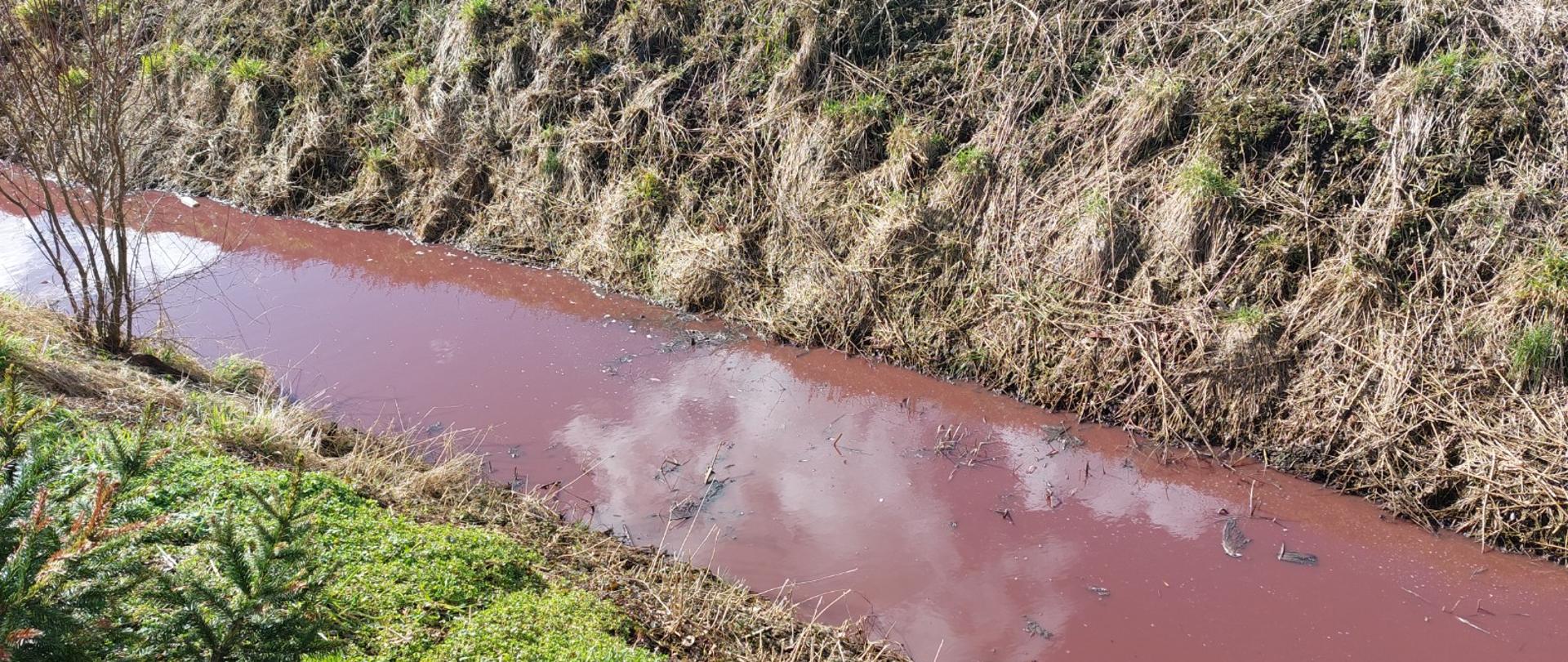 Rów i obwałowanie Kanału Dębińska Struga