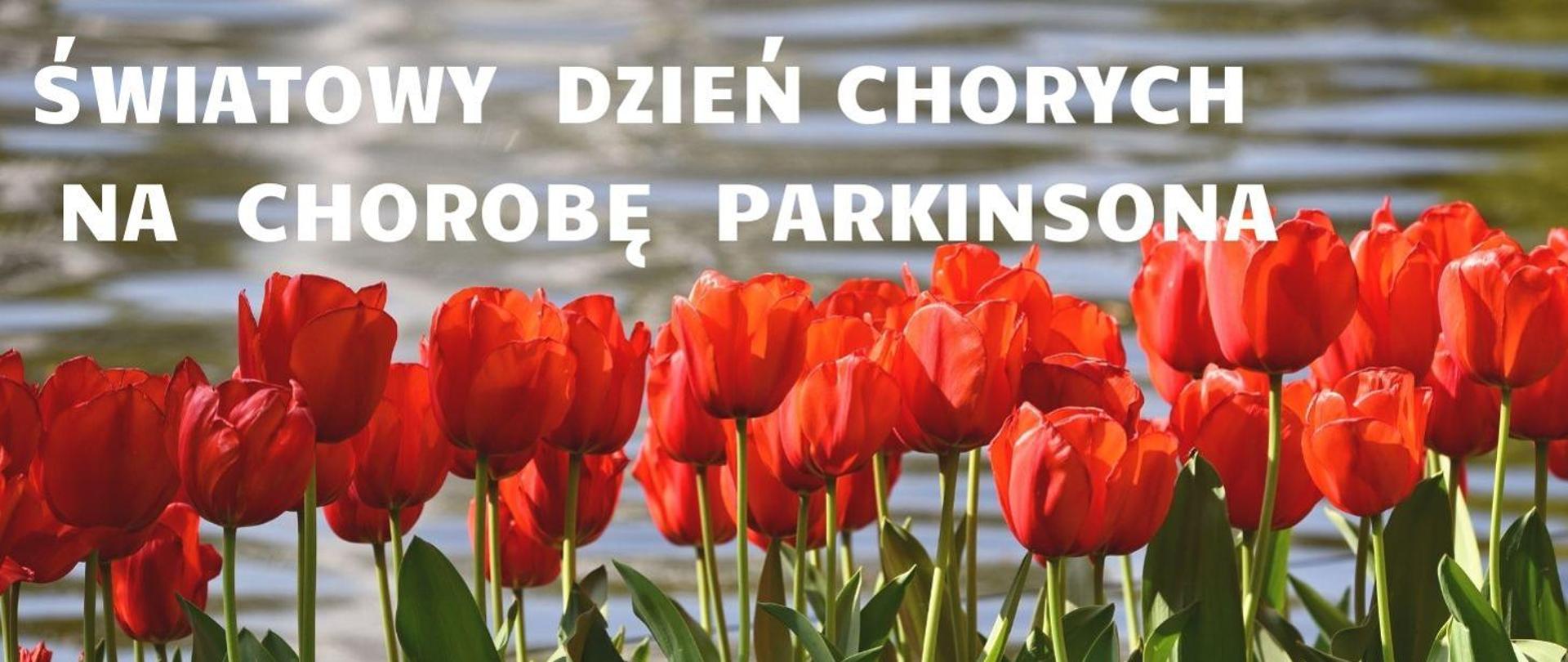 Czerwone tulipany, a nad nimi napis "Światowy Dzień Chorych na Chorobę Parkinsona"