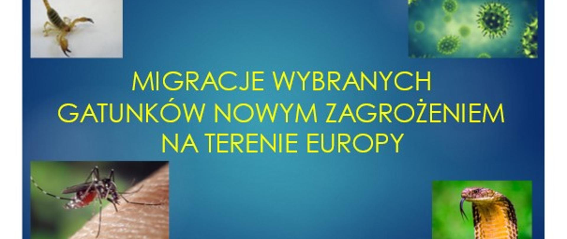 Ilustracja wykładu o tropikalnych chorobach pasożytniczych