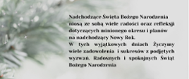 Grafika Świąteczne Życzenia 