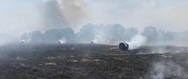 Działania ratownicze staszowskich strażaków podczas pożaru w miejscowości Wilkowa. 