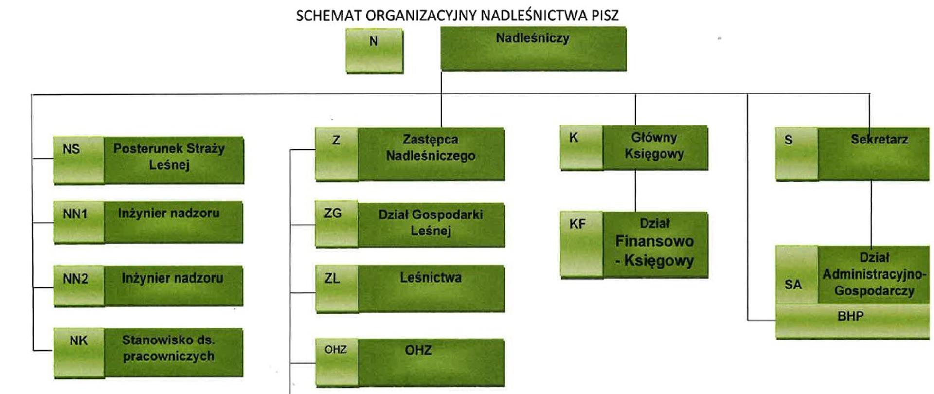 schemat organizacyjny Nadleśnictwo Pisz stan na dzień 19-09-2024