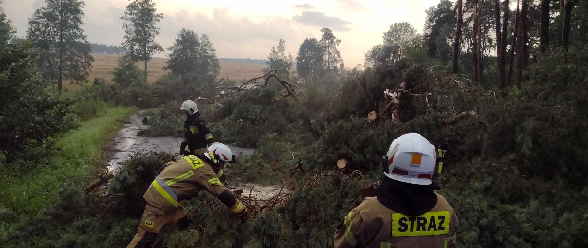 Na zdjęciu widać połamane drzewa oraz strażaków 