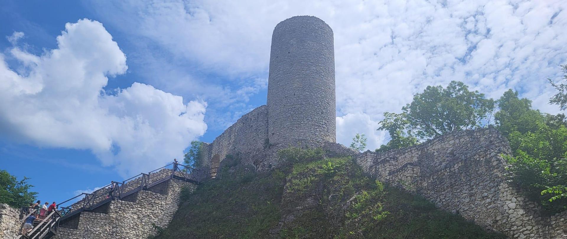 Ruiny zamku Pilcza w Smoleniu